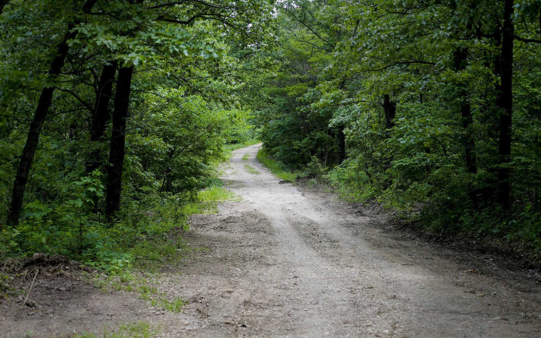 camp scott girl scout murder (copy)